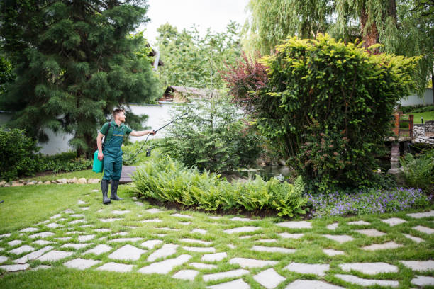 Best Commercial Pest Control Services  in Buffalo, TX