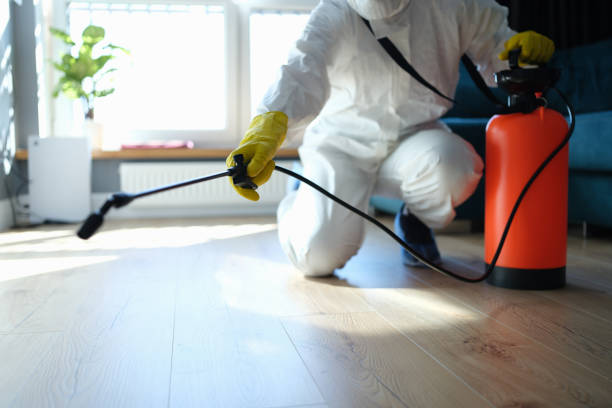 Best Pest Removal Services  in Buffalo, TX