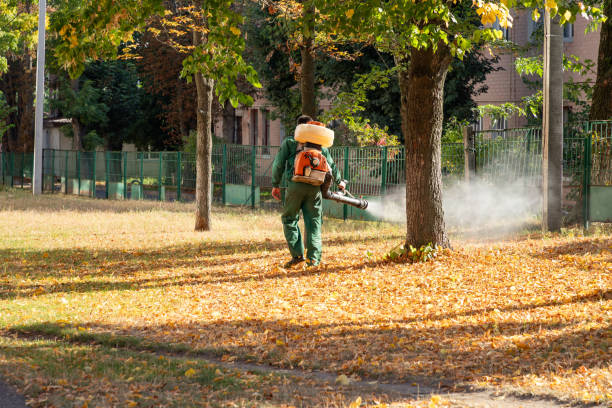 Best Best Pest Control Companies  in Buffalo, TX