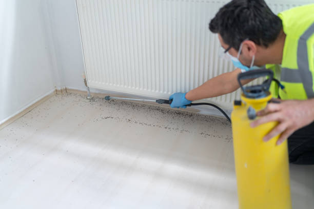 Pest Control Cost in Buffalo, TX